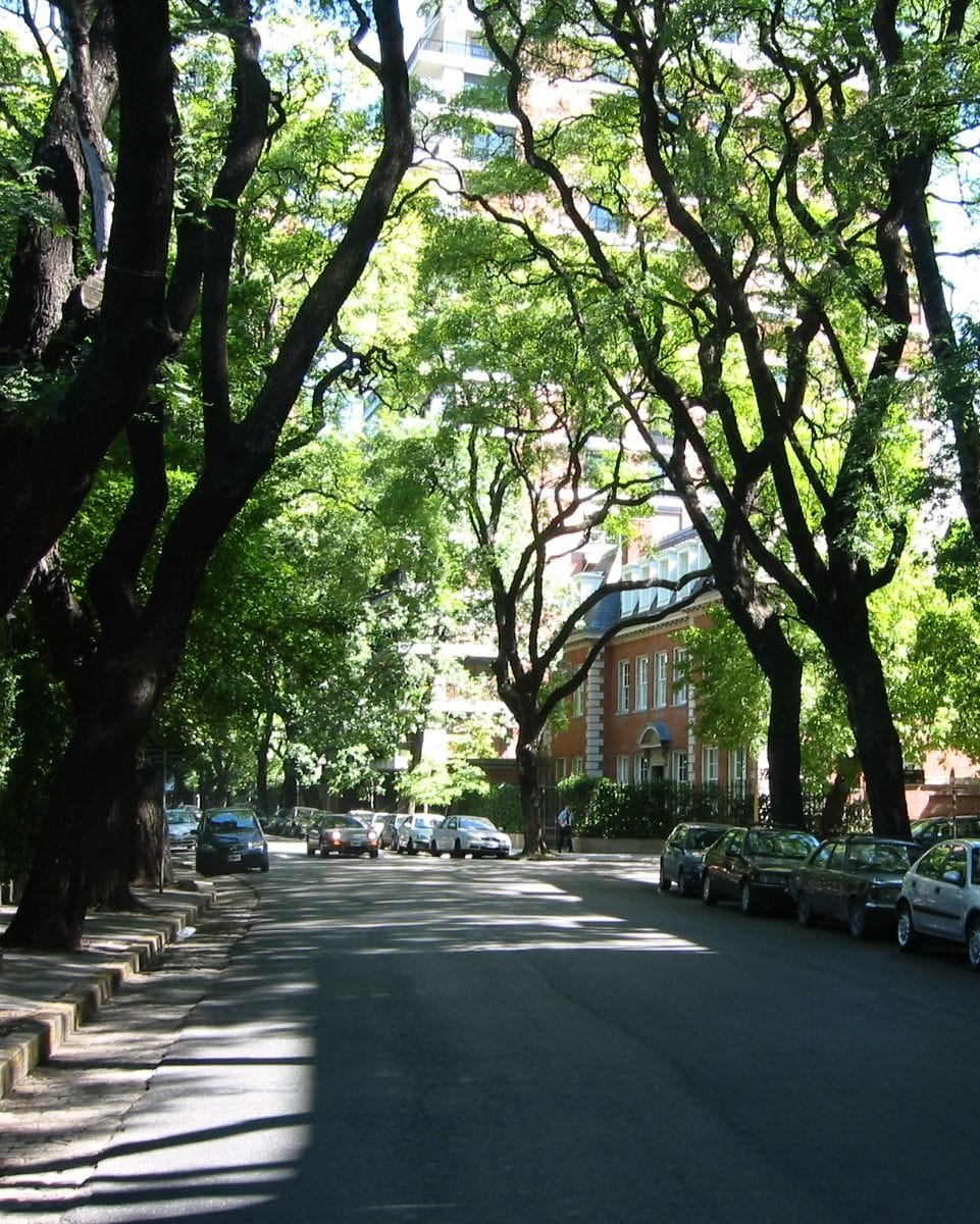 Pedro Goyena: la avenida de Caballito que ya juega en la liga premium