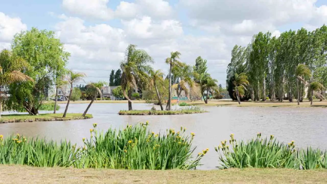 San Vicente: lotes desde US$ 22.000 y un corredor que deja de ser “promesa” para volverse ciudad