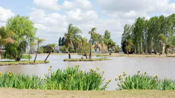 San Vicente: lotes desde US$ 22.000 y un corredor que deja de ser “promesa” para volverse ciudad